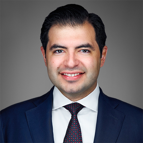 Dr. Mejia Munne